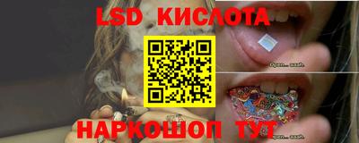 СК Канаш